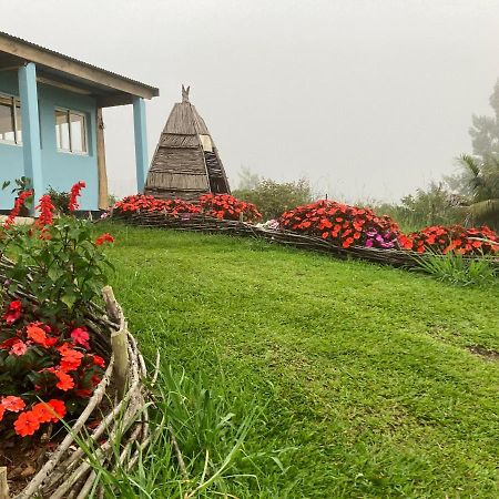 Bed and Breakfast Au Coeur De La Cascade Biberon La Plaine des Palmistes Exterior foto