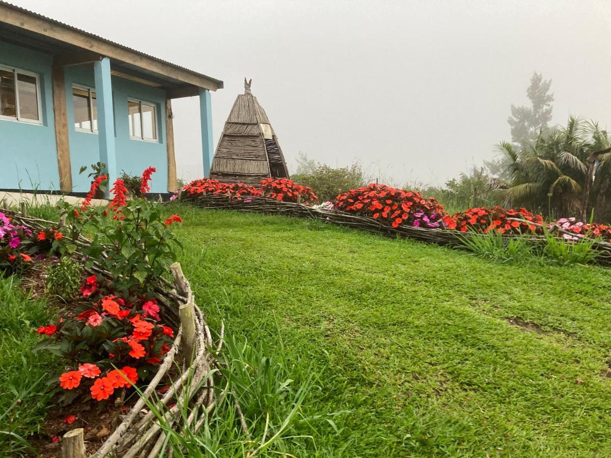 Bed and Breakfast Au Coeur De La Cascade Biberon La Plaine des Palmistes Exterior foto